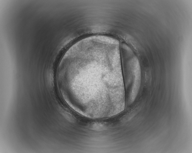 X0000111040684200907231536