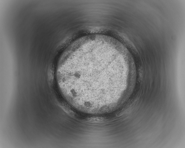 X0000111040691200907231536