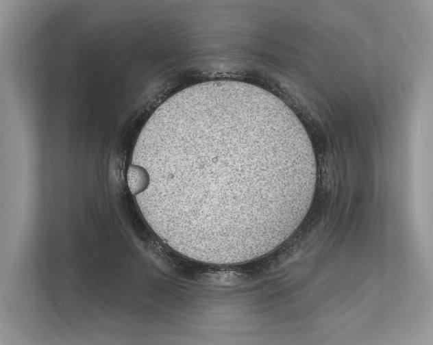 X0000111040695200907231536