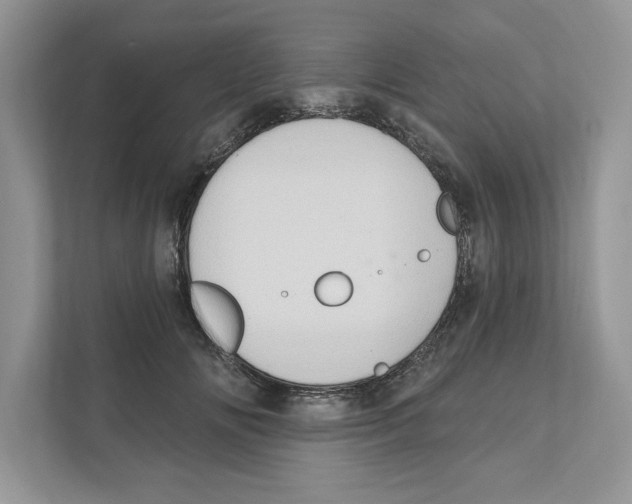 X0000111040702200907231535