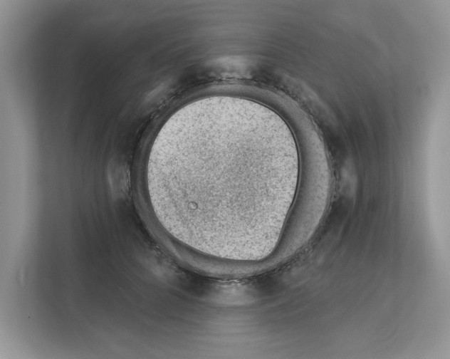 X0000111040704200907231535