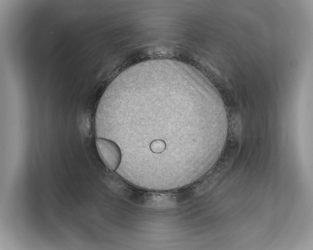 X0000111040709200907231535