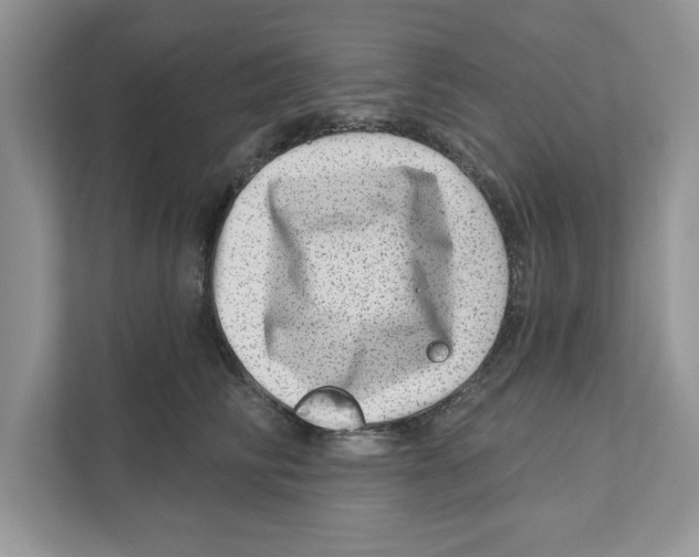 X0000111040710200907231535