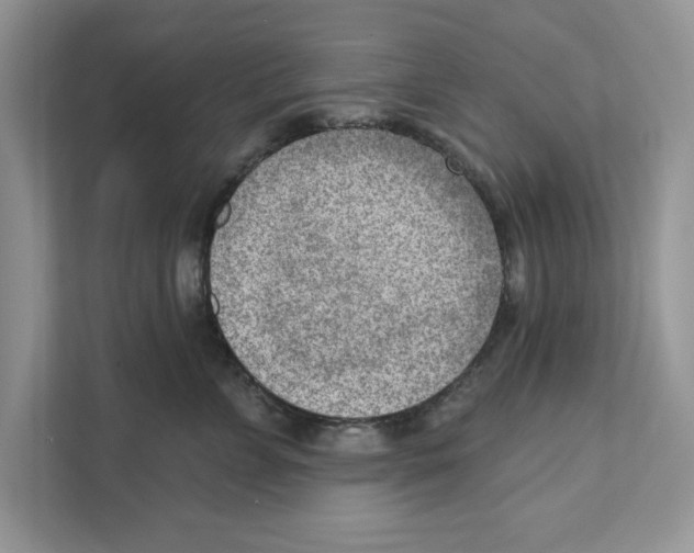 X0000111040715200907231535