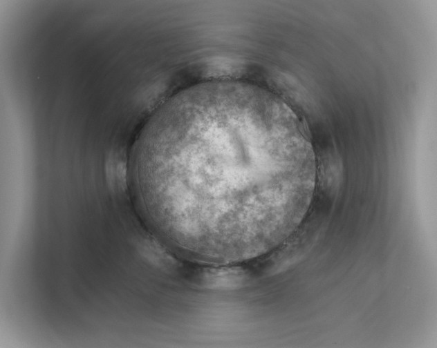 X0000111040716200907231535