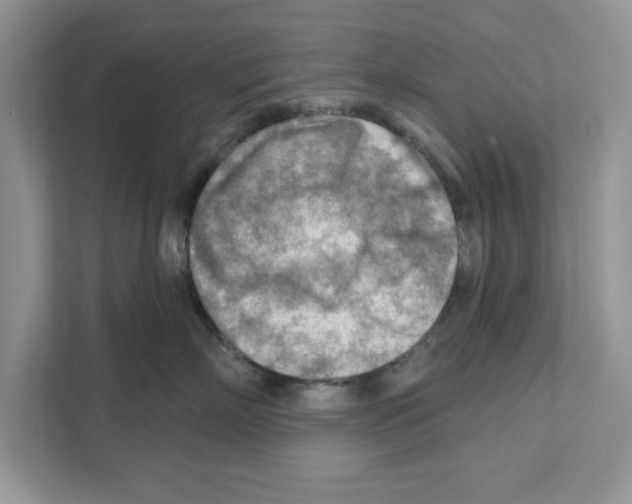 X0000111040718200907231535