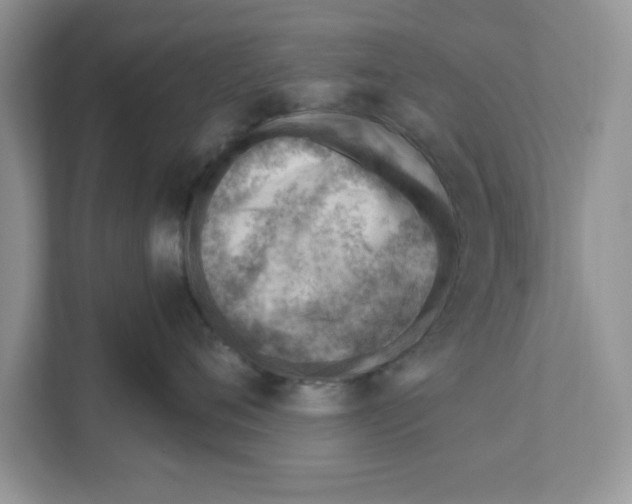 X0000111040720200907231535