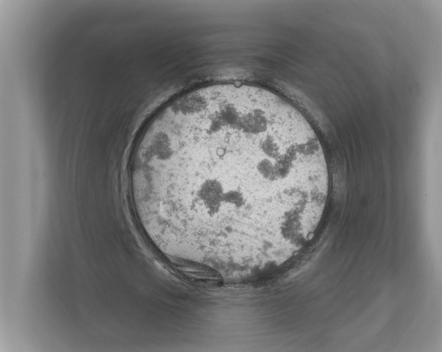 X0000111040721200907231535