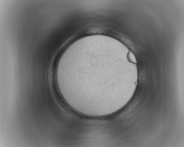 X0000111040722200907231535