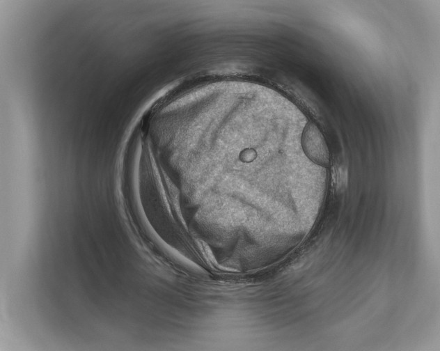 X0000111040724200907231535