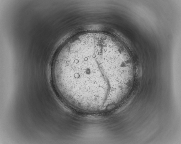 X0000111040725200907231535