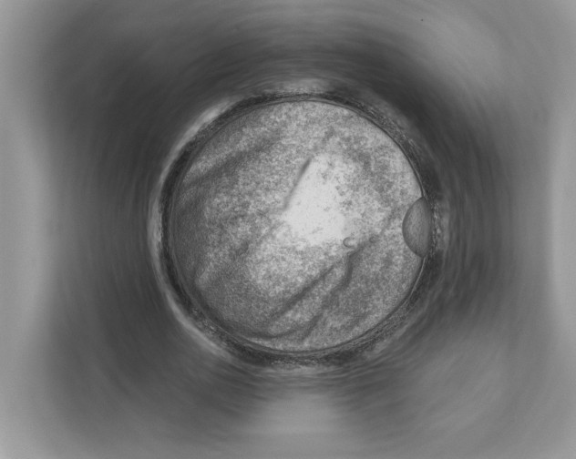 X0000111040726200907231535