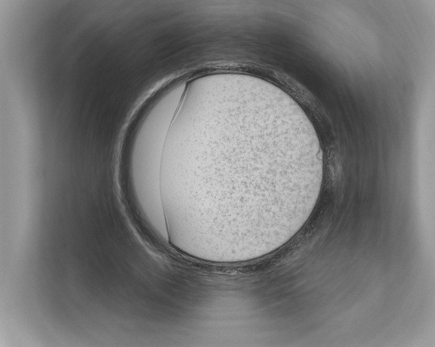 X0000111040728200907231535