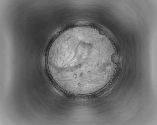 X0000111040729200907231535