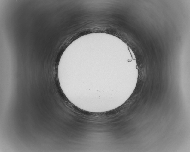 X0000111040756200907231535