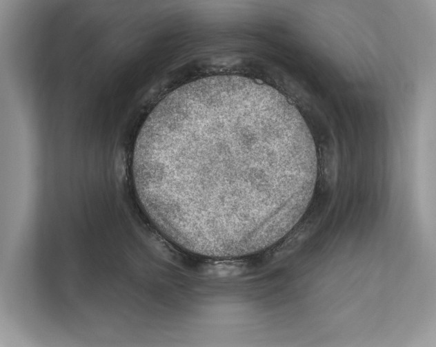 X0000111040758200907231535