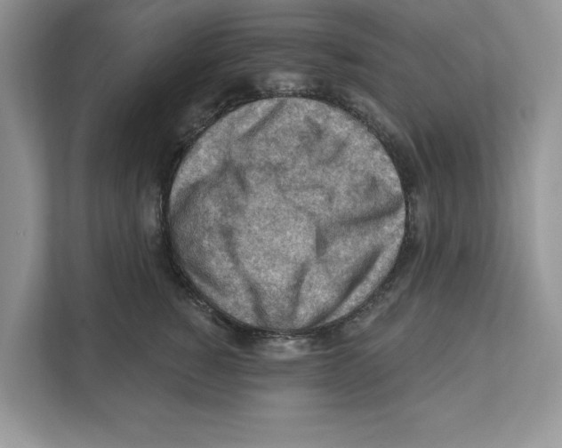 X0000111040760200907231535