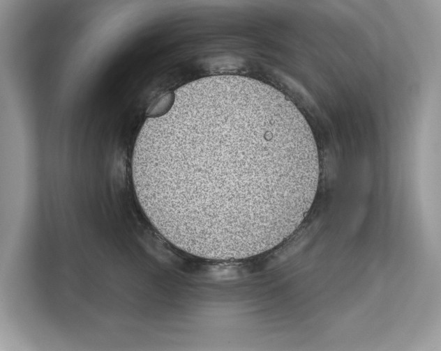 X0000111040761200907231535