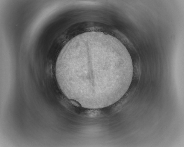 X0000111040762200907231535