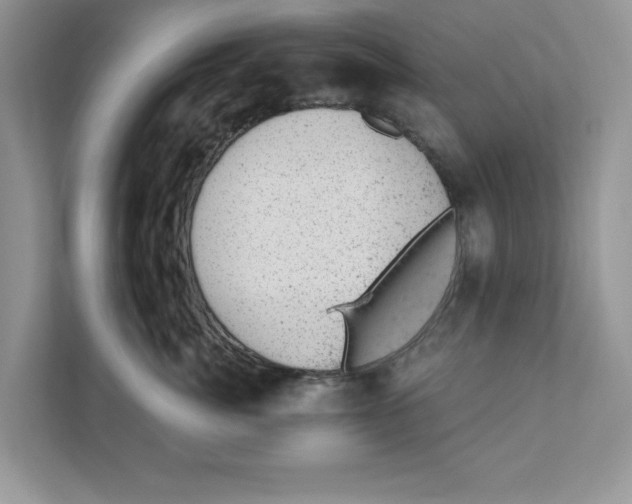 X0000111040764200907231535