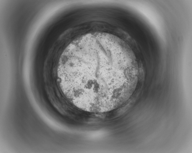 X0000111040765200907231535