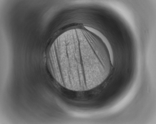 X0000111040766200907231535