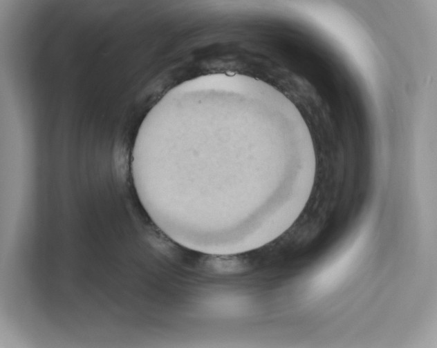 X0000111040767200907231535