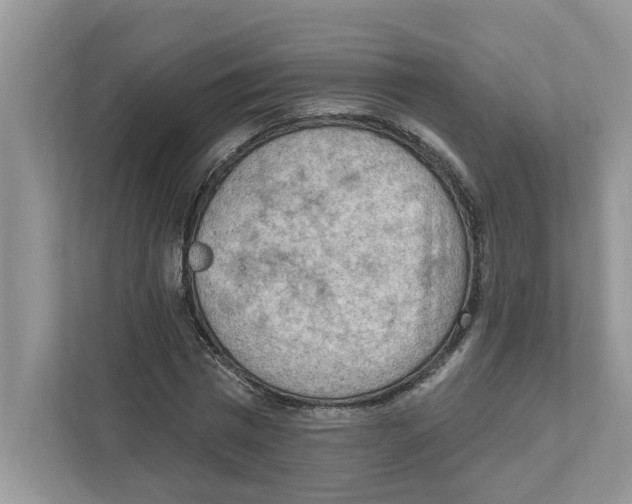 X0000111040777200907231535