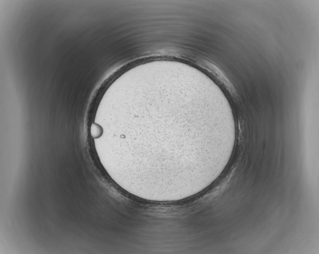 X0000111040780200907231534