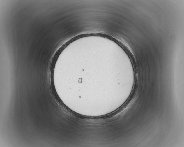 X0000111040781200907231534