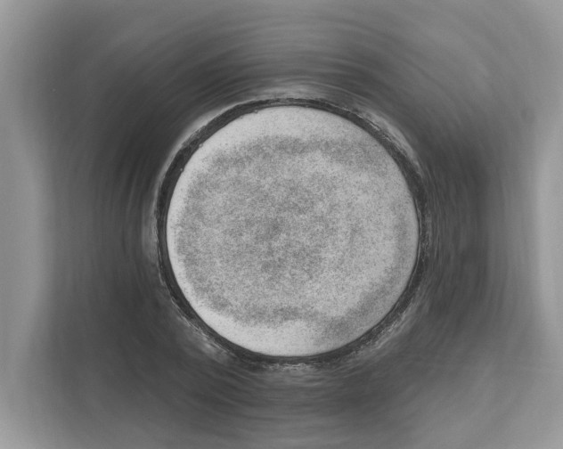 X0000111040784200907231534