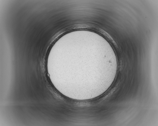 X0000111040786200907231534