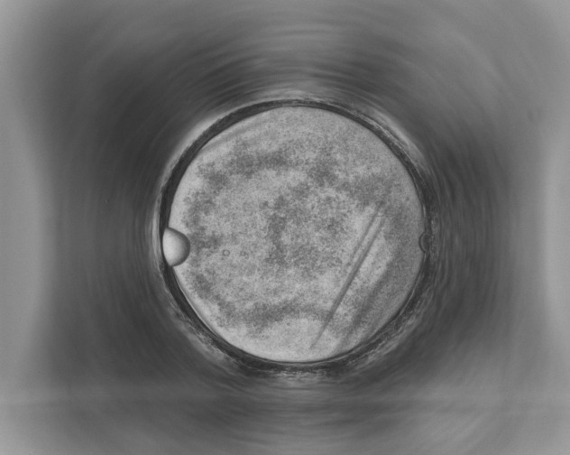 X0000111040788200907231534