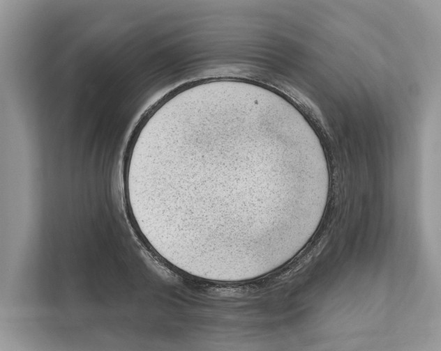 X0000111040792200907231534