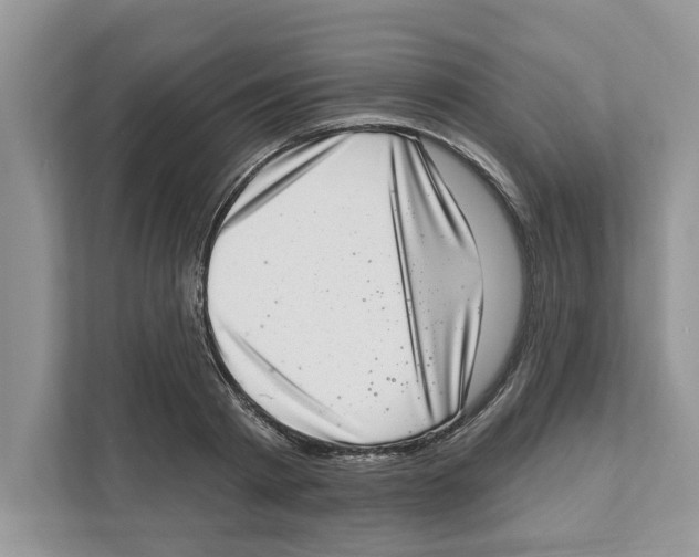 X0000111040793200907231534