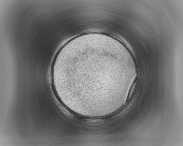 X0000111040795200907231534