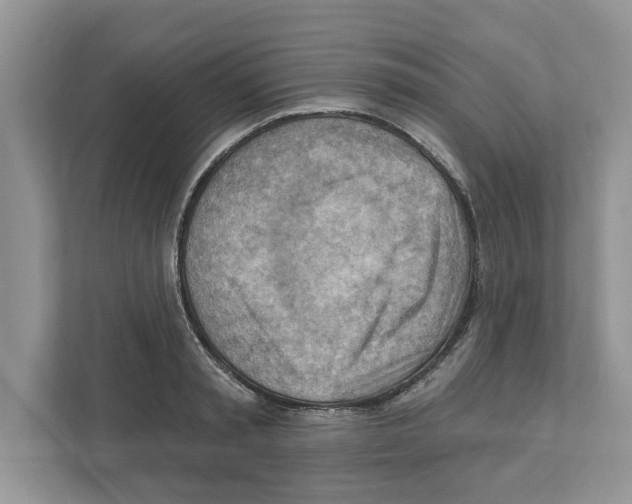 X0000111040797200907231534