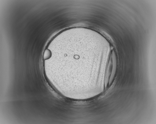 X0000111040800200907231534