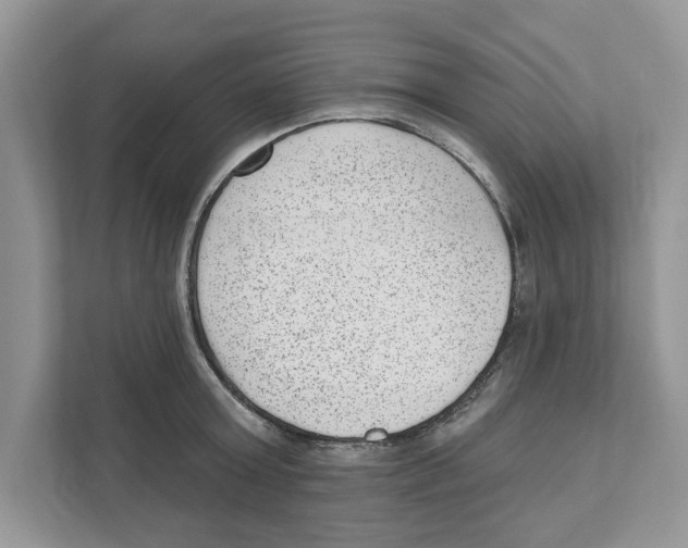 X0000111040803200907231534