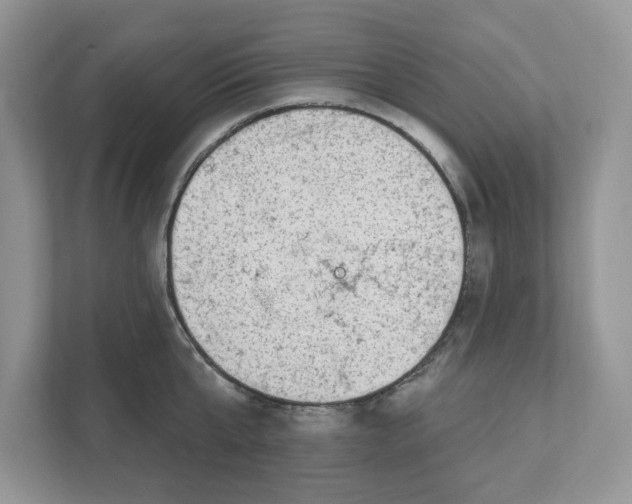 X0000111040807200907231534