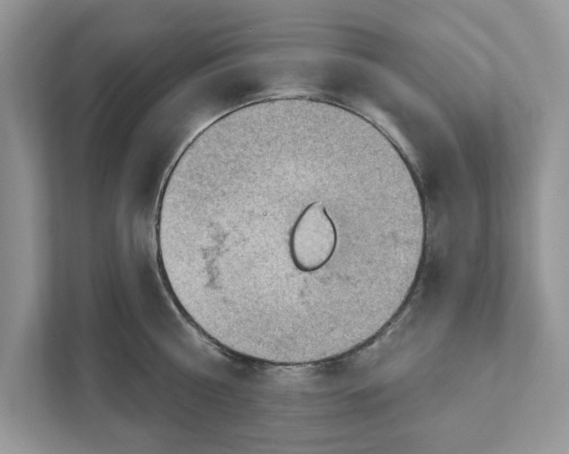 X0000111040810200907231534