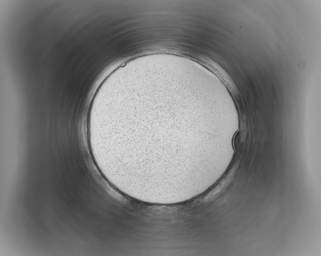 X0000111040812200907231534