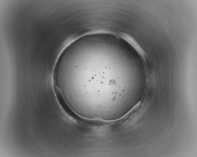 X0000111040813200907231534