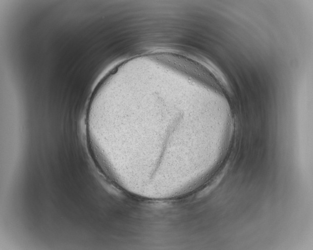 X0000111040814200907231534