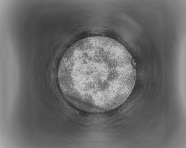 X0000111040817200907231533