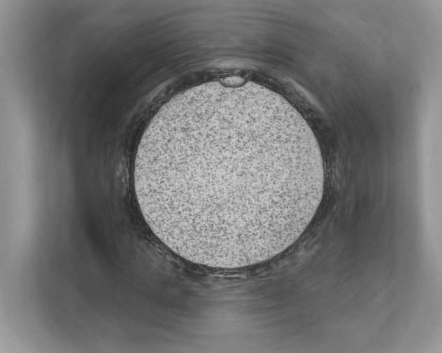 X0000111040821200907231533