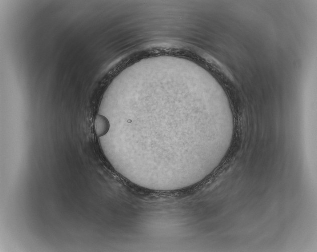 X0000111040822200907231533