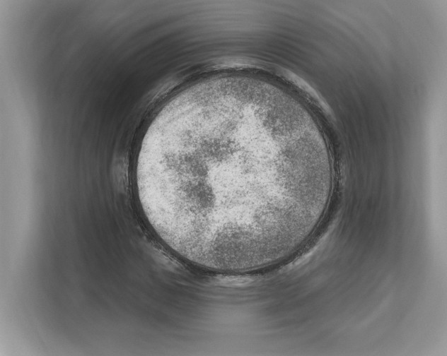 X0000111040825200907231533