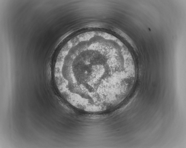 X0000111040829200907231534