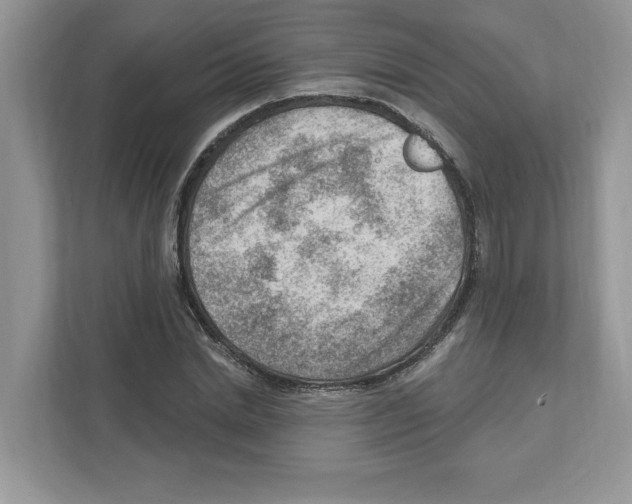 X0000111040830200907231534